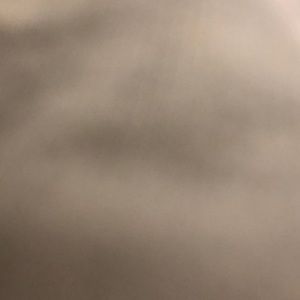 Meet your Posher, Max